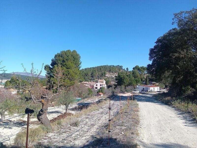 Imagen de Pomes de la Sarga