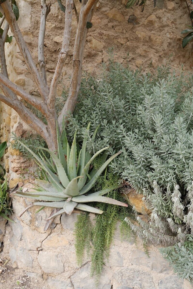 Imagen de Finca Cautivador Eventos