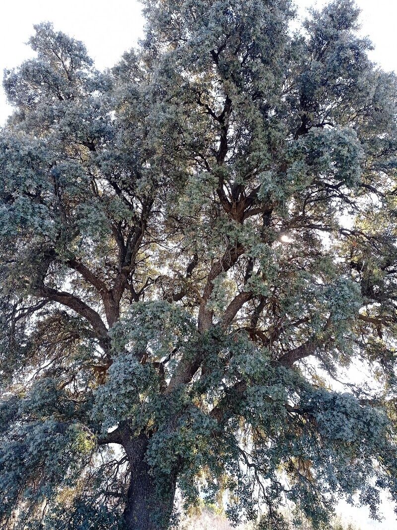 Imagen representativa de la localización