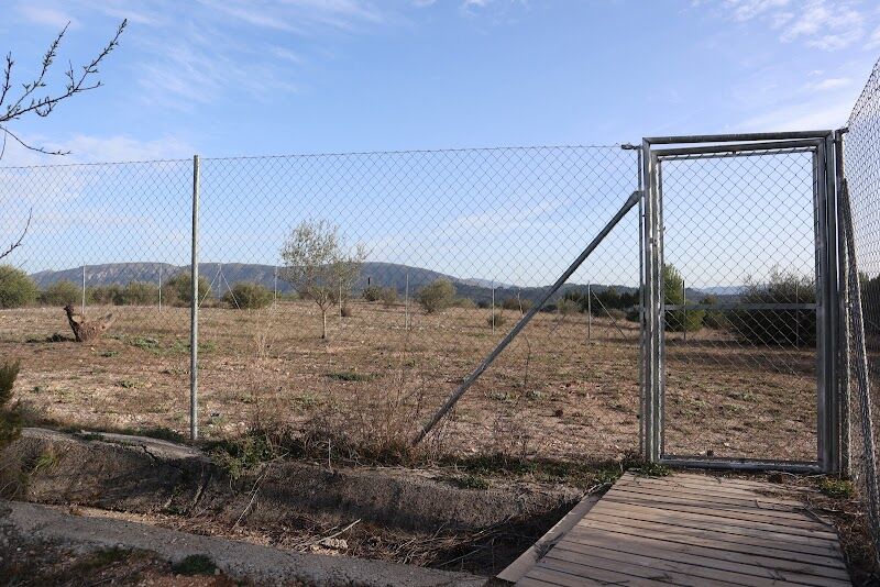 Imagen de negocio en Refugio de animales en Muro de Alcoy