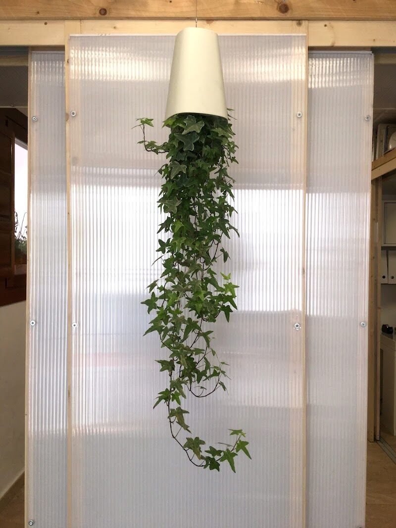 Imagen de Yedra Arquitectura