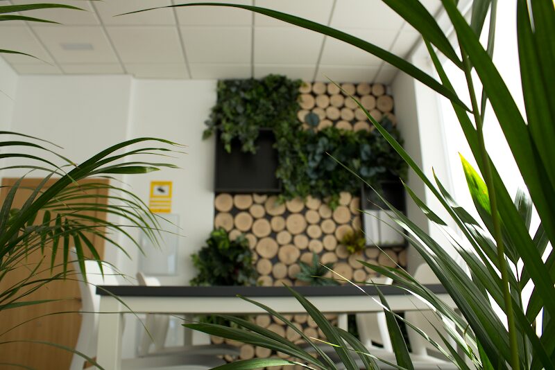 Imagen de Factory Ecologic