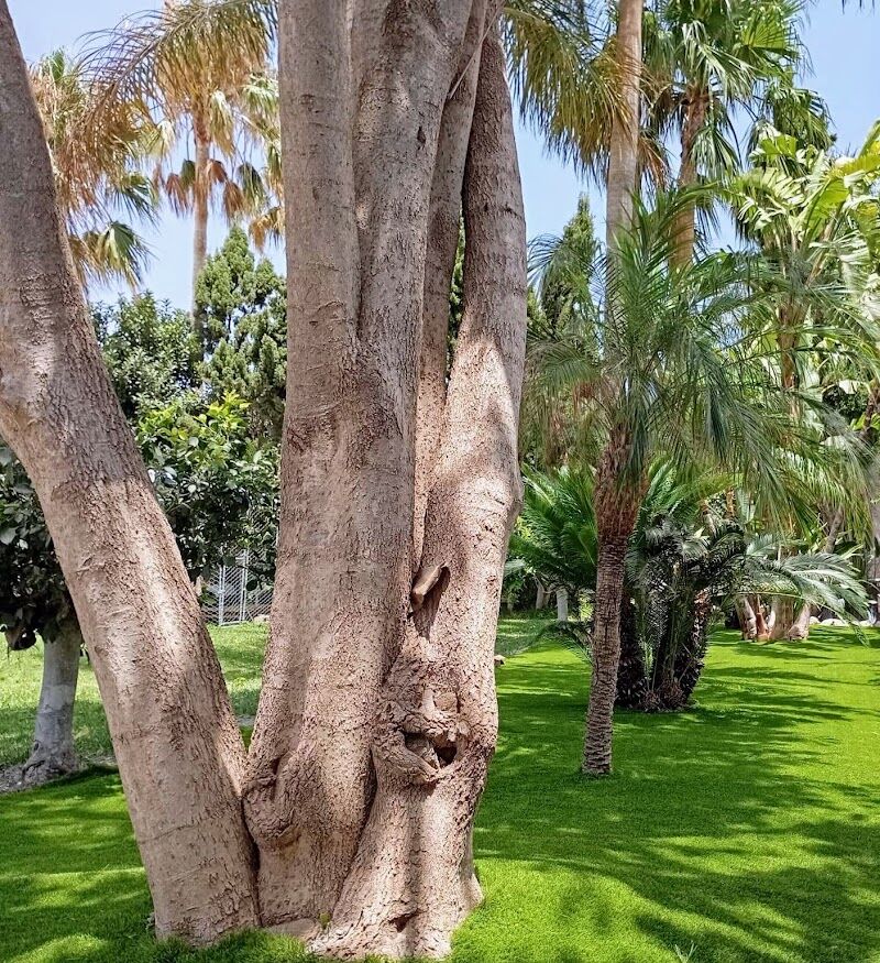 Imagen de negocio en Jardinería y exterior en Provincia de Granada