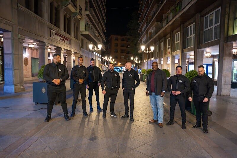 Imagen de Lion Mege Control Sl