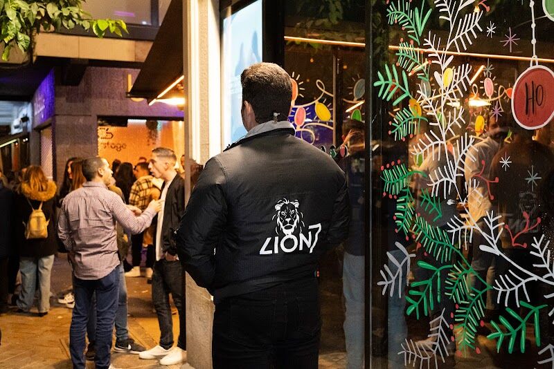 Imagen de Lion Mege Control Sl