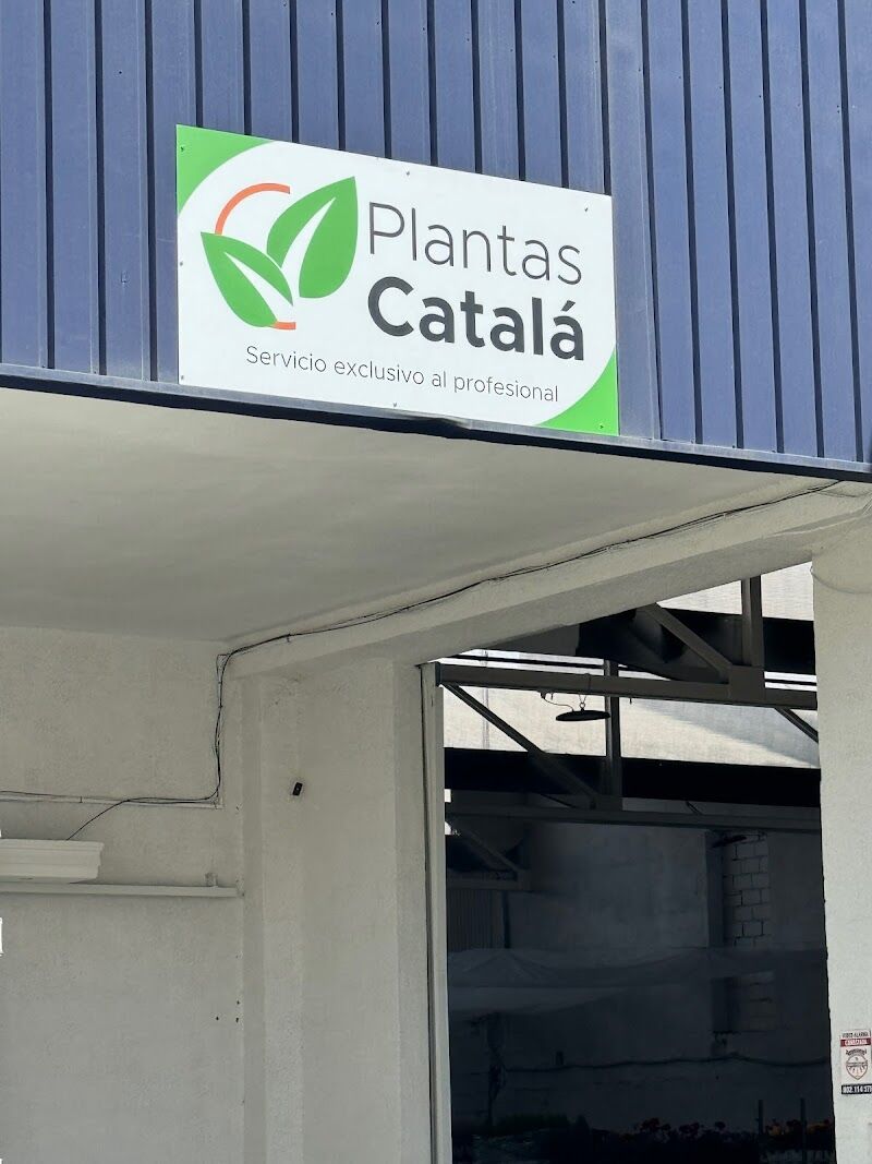 Imagen de negocio en Floristería en Churriana de la Vega
