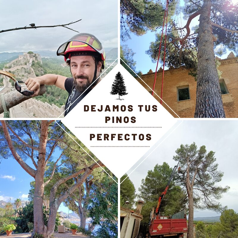 Imagen de Podas Lorenzo