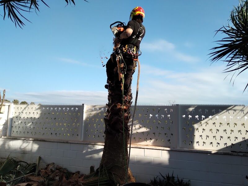 Imagen de Podas Lorenzo