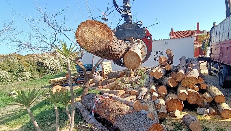 Imagen de Podas Lorenzo