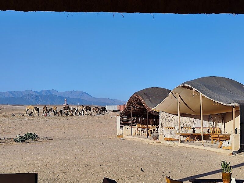 Imagen de Viajes Nefer