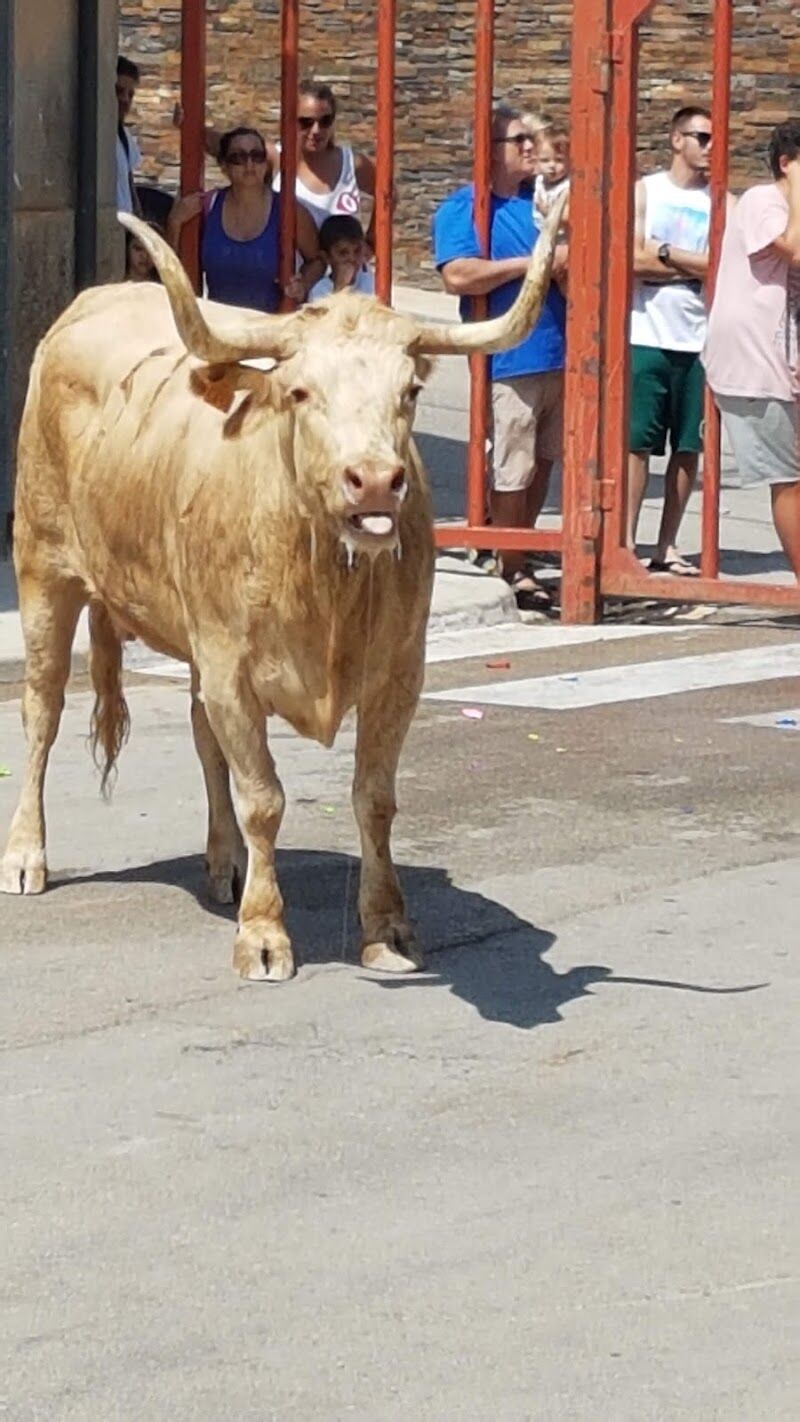 Imagen de negocio en Bodega en Godelleta