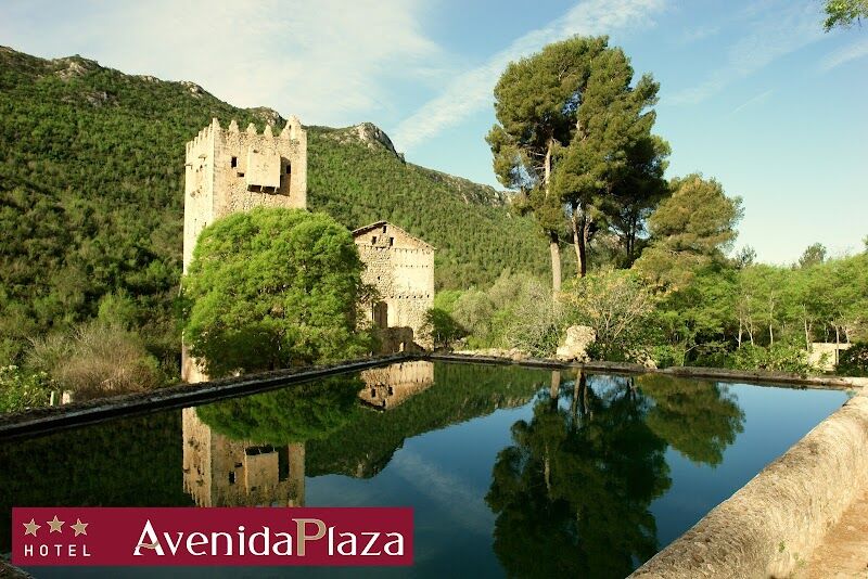 Imagen de Hotel Avenida Plaza