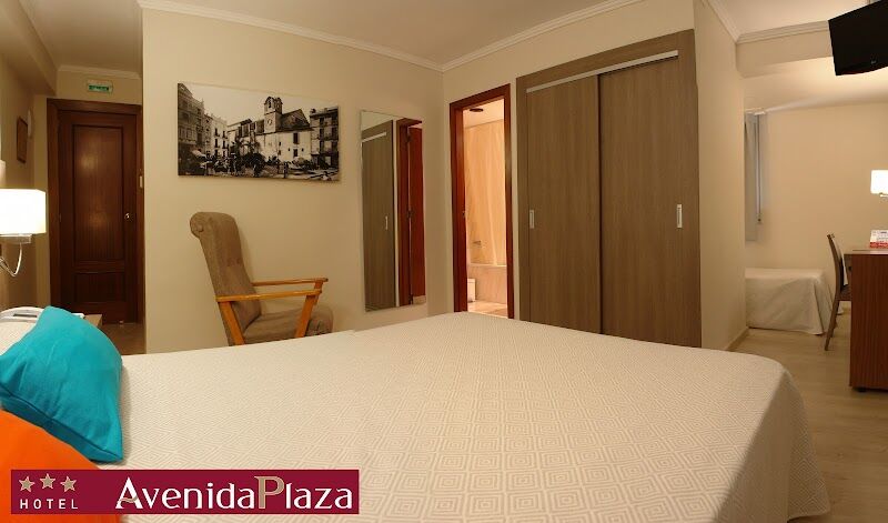 Imagen de Hotel Avenida Plaza