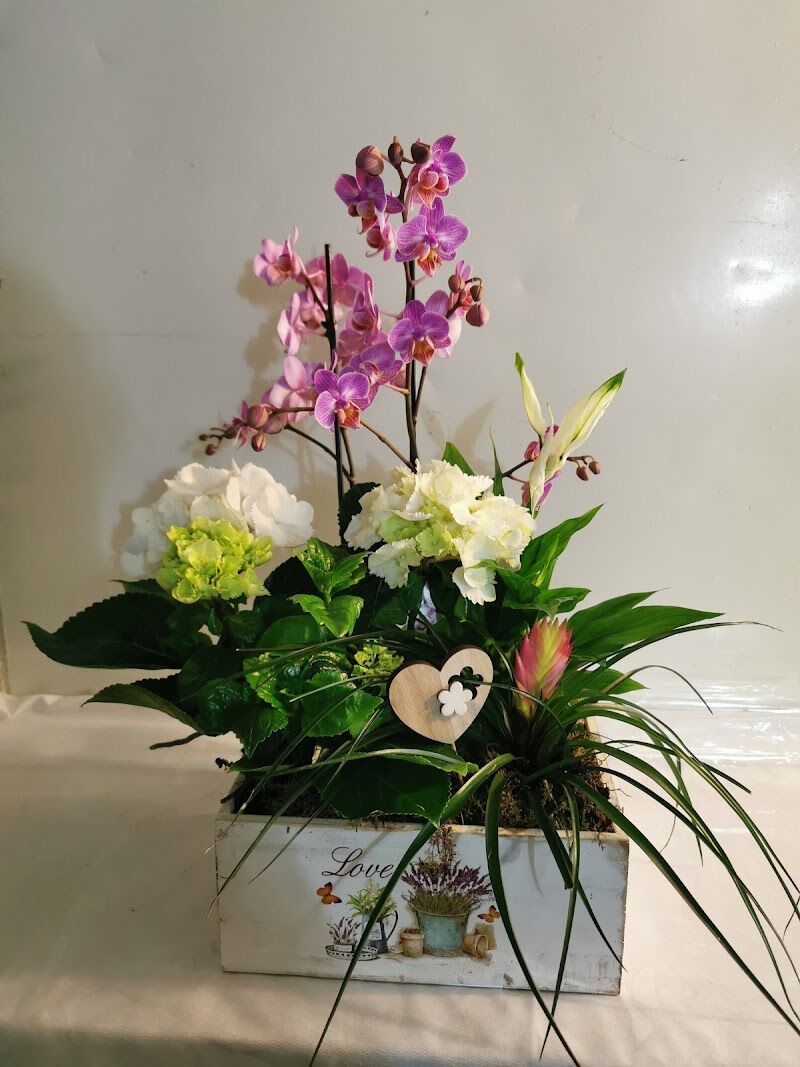 Imagen de Floristeria Tesabel