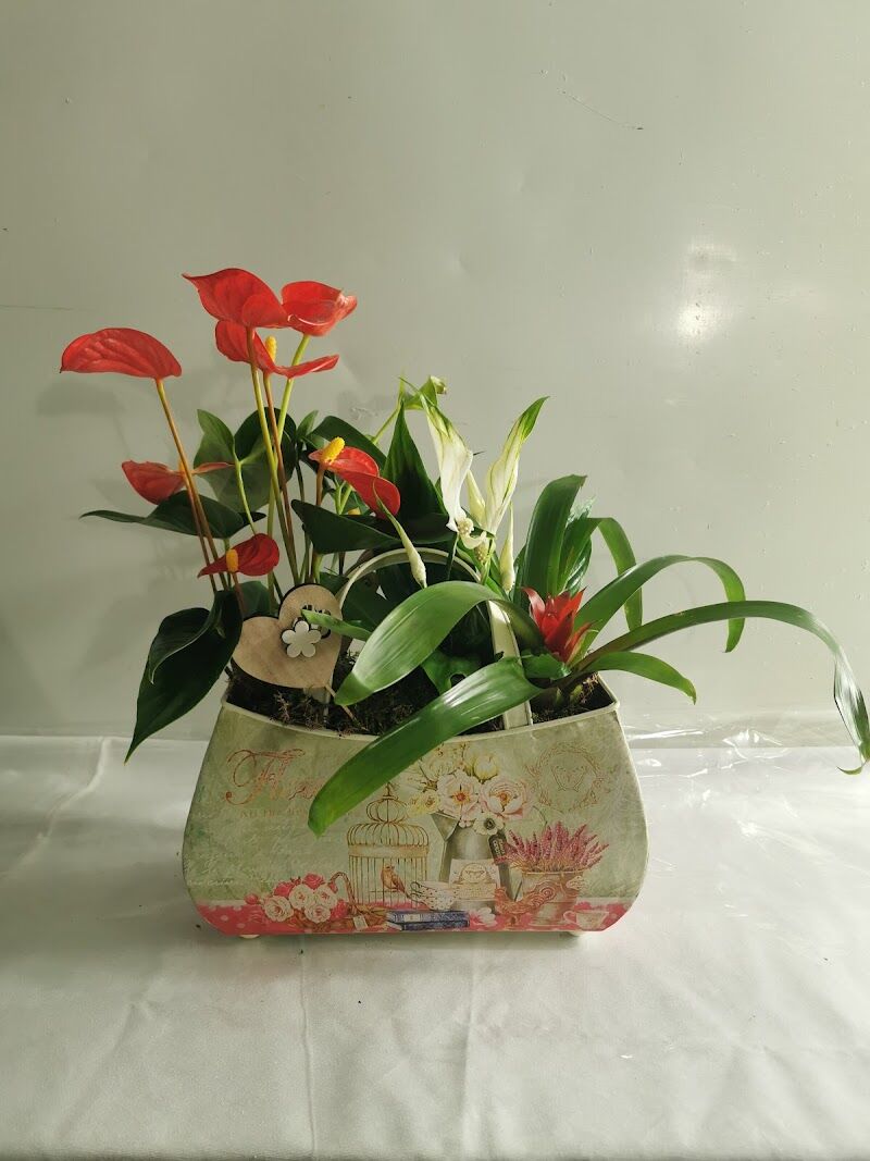 Imagen de Floristeria Tesabel