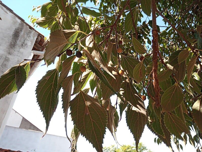 Imagen de Ivass Residència Caixa Ontinyent
