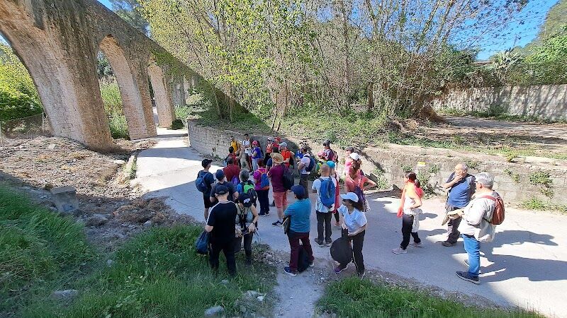 Imagen de Cefire Xàtiva