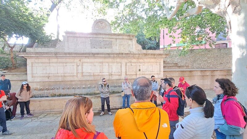Imagen de Cefire Xàtiva