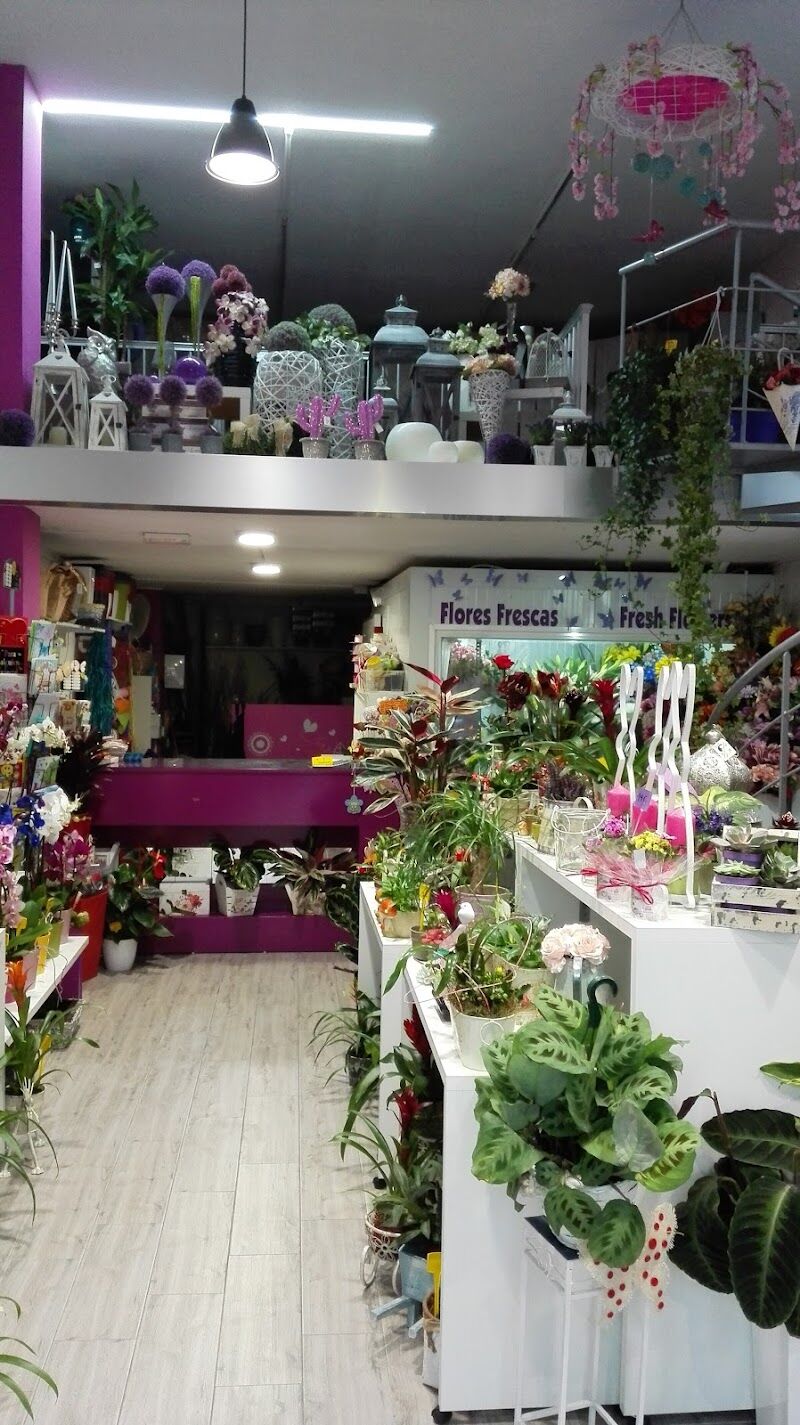 Imagen de El Racó de Les Flors