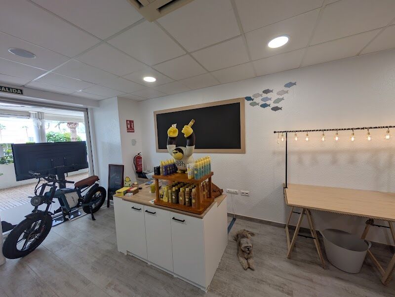 Imagen de Salty Soul Rentals