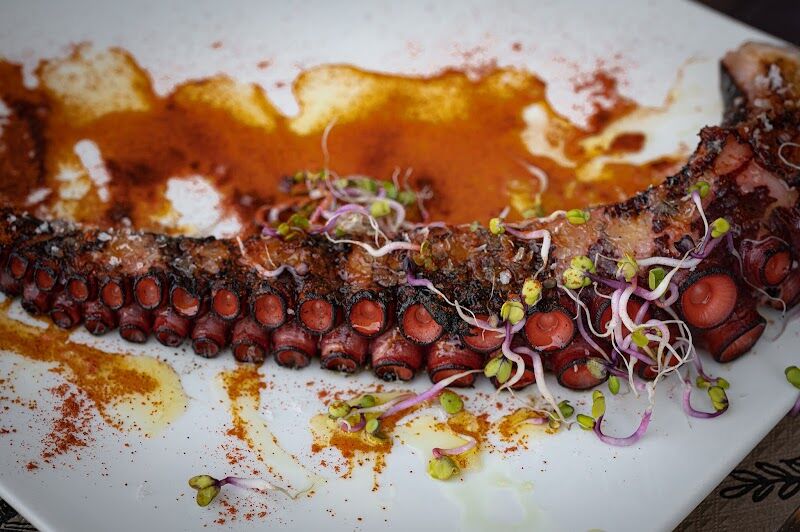 Imagen de Gastro Molí