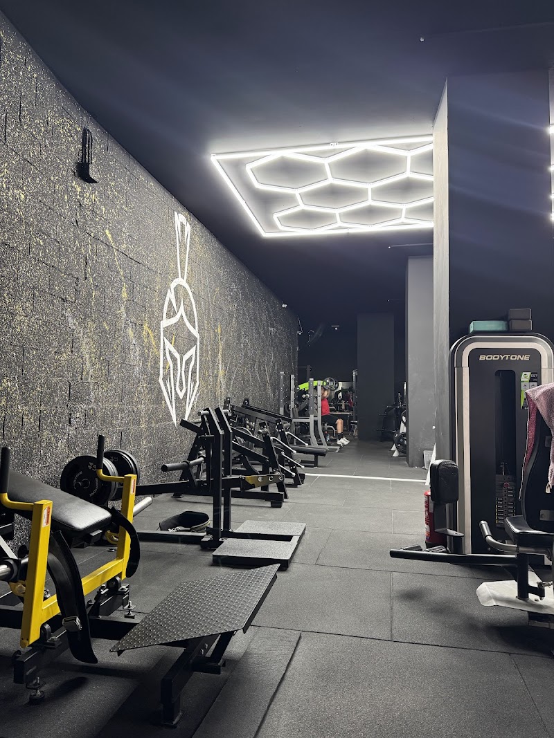 Imagen de Olympus Gym