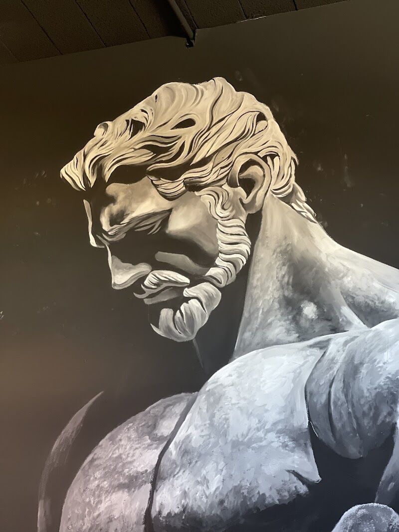 Imagen de Olympus Gym