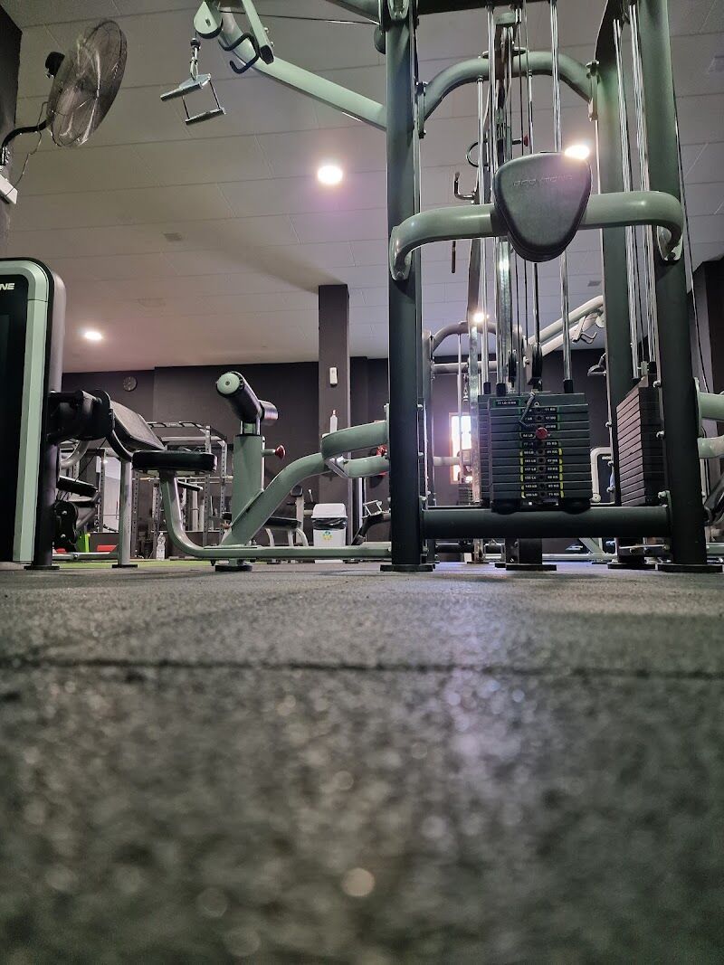 Imagen de Olympus Gym