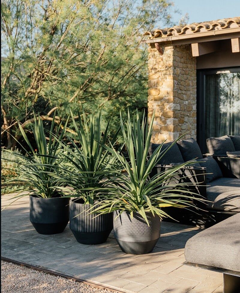 Imagen de Garden Design Plants