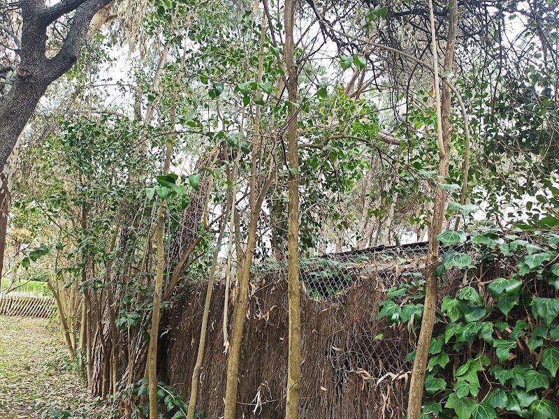 Imagen representativa de la localización