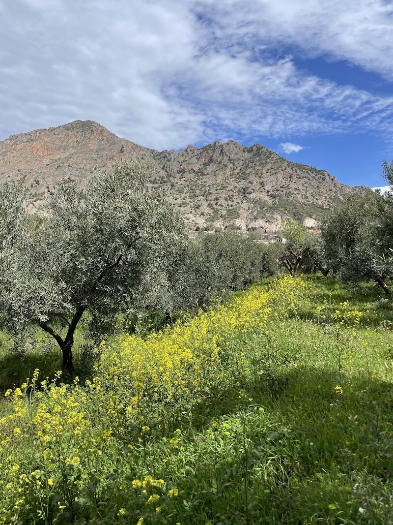 Imagen representativa de la localización