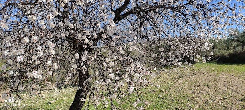 Imagen representativa de la localización