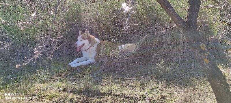 Imagen representativa de la localización