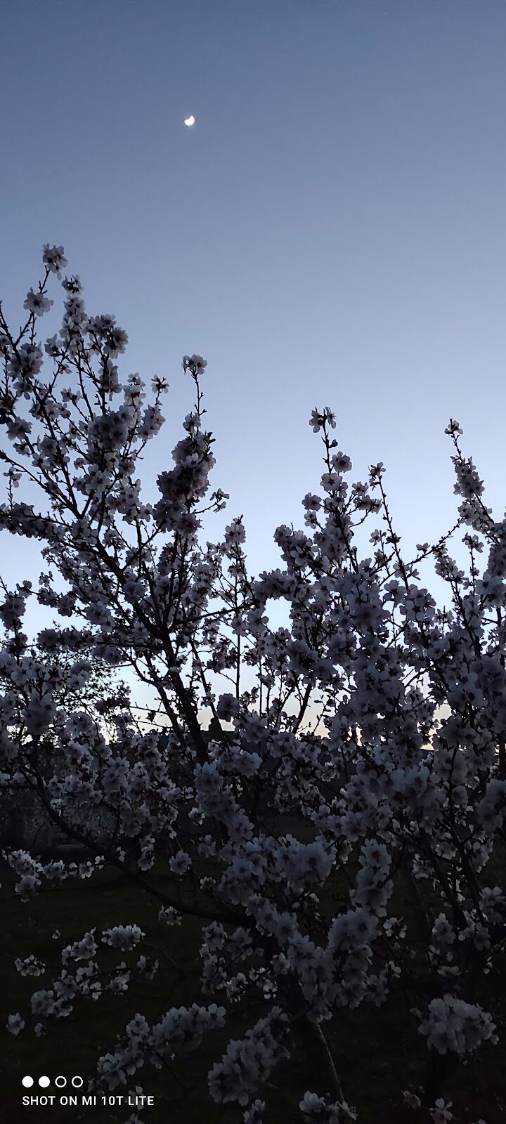 Imagen representativa de la localización