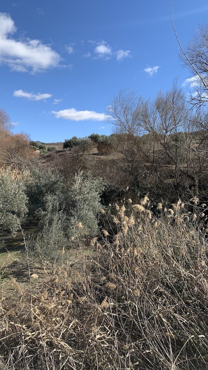 Imagen representativa de la localización