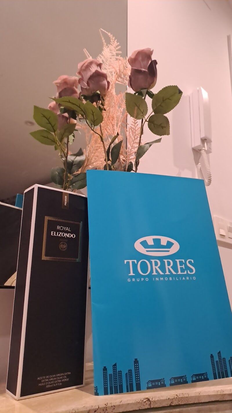 Imagen de Grupo Torres Inmobiliaria – Hípica