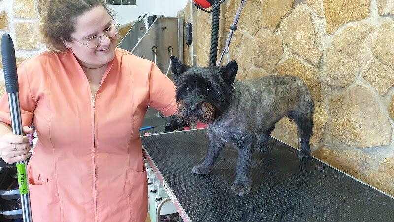 Imagen de Peluquería Canina Pitusines