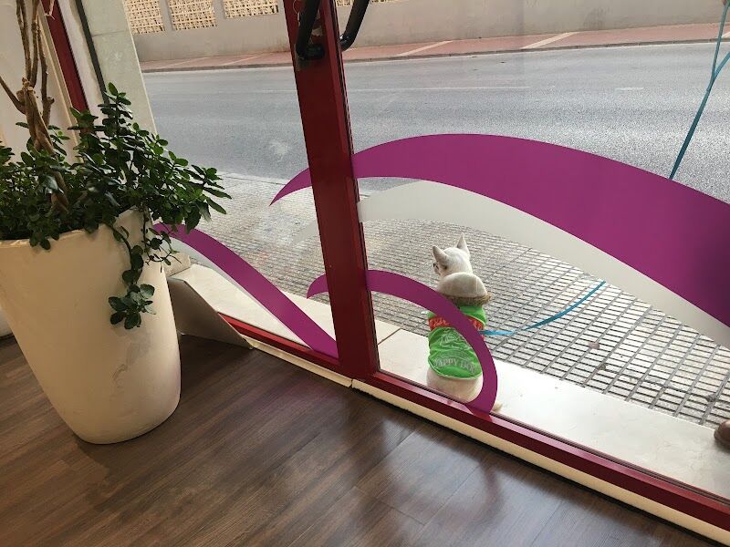 Imagen de Terciopelos