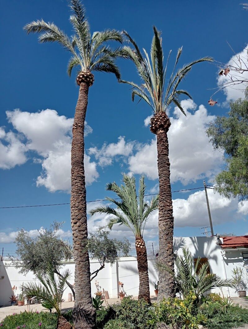 Imagen de negocio en Paisajismo en Sant Vicent del Raspeig