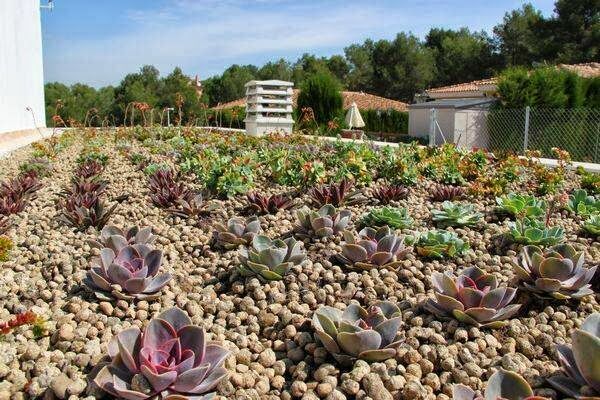 Imagen de negocio en Paisajismo en Alicante