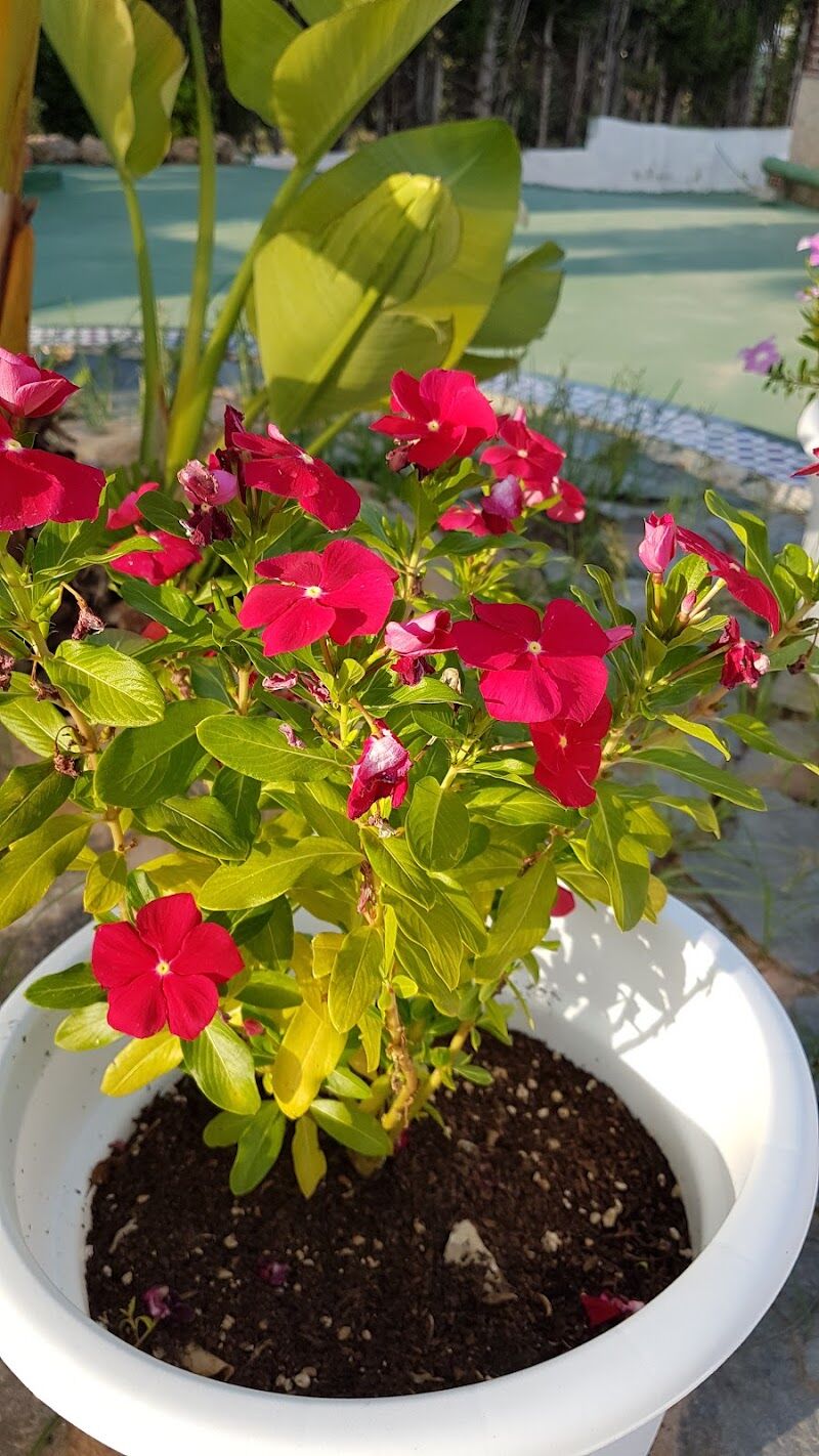 Imagen de Odamar Residencia