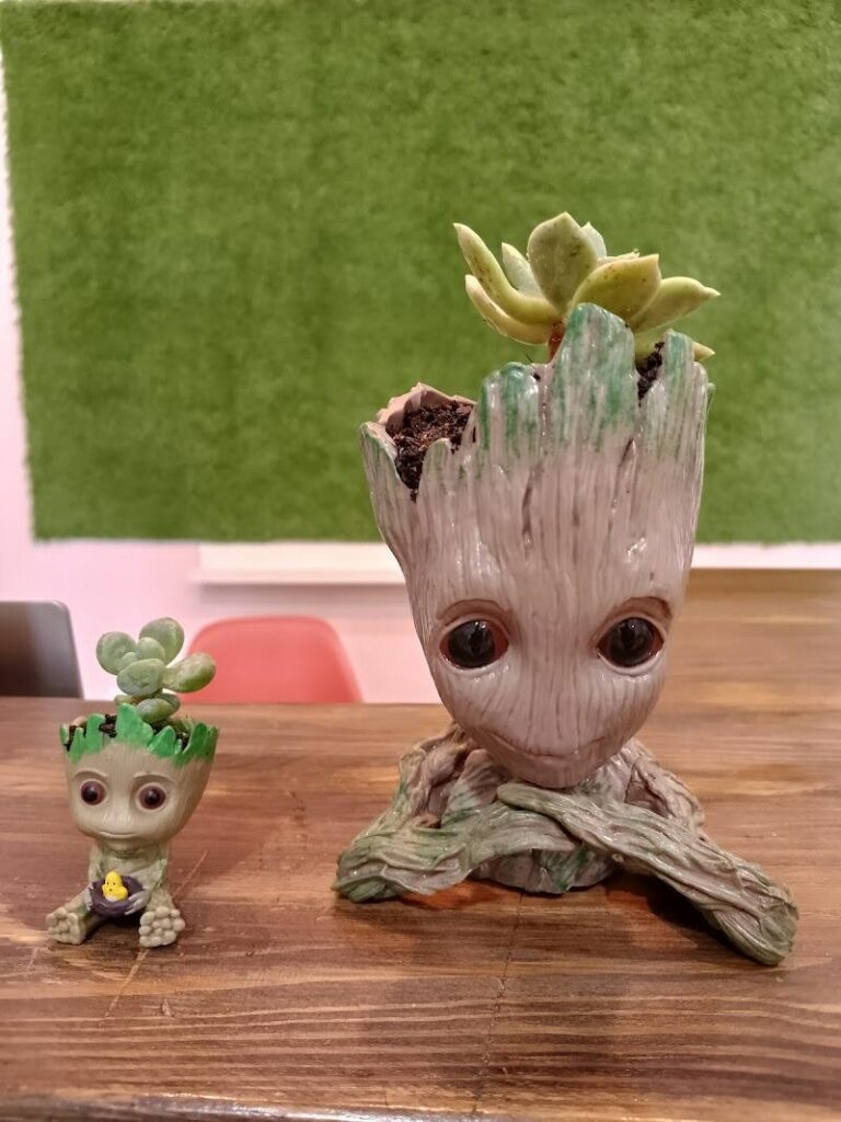 Imagen de El Ceibo Flores&deco