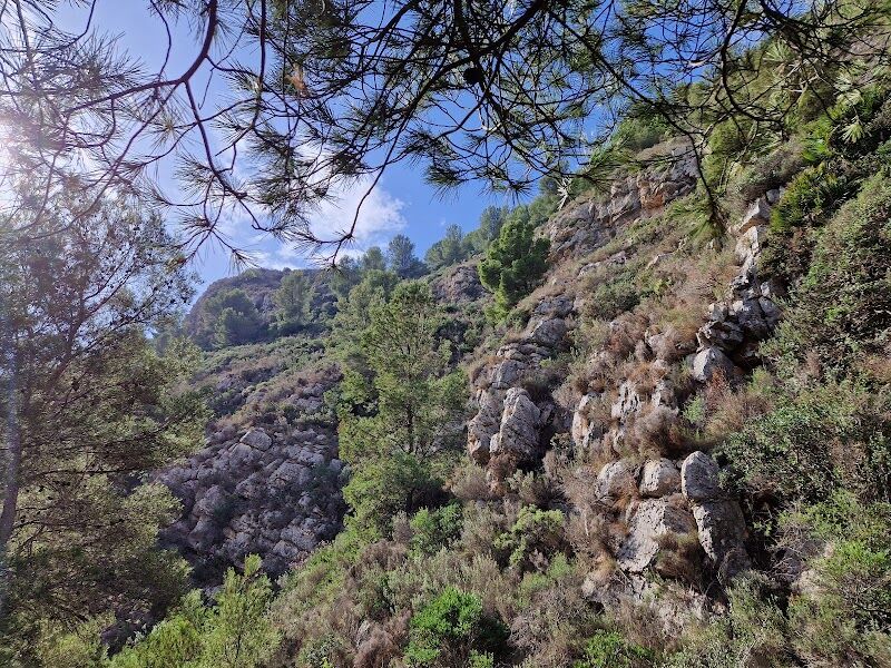 Imagen de T-time Experience