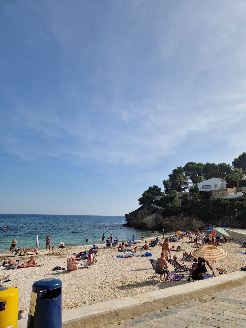 Imagen de T-time Experience