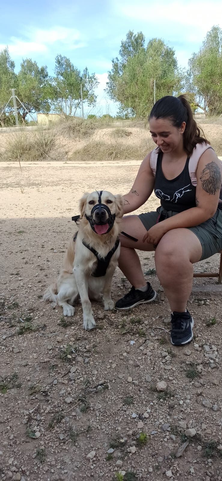 Imagen de Diverticani