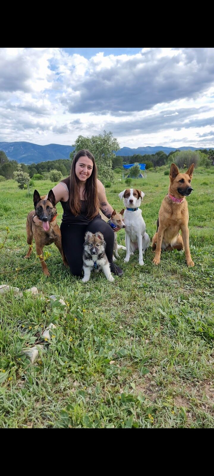 Imagen de Diverticani