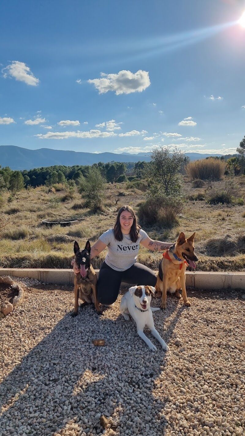 Imagen de Diverticani