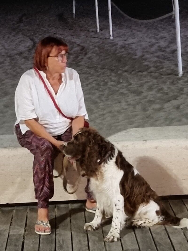 Imagen de El Palau de Les Mascotes