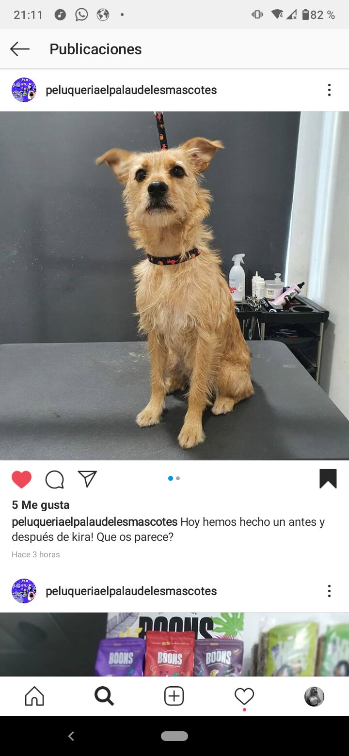 Imagen de El Palau de Les Mascotes