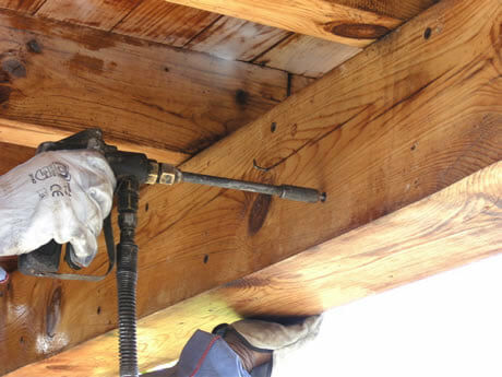 Imagen de Destari Control de Plagas